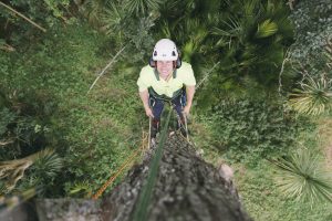 Eagle Eye Tree Services is owned and operated by fully qualified and experienced arborist, Matt Blainey