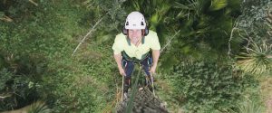 Eagle Eye Tree Services is owned and operated by fully qualified and experienced arborist, Matt Blainey