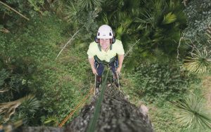 Eagle Eye Tree Services is owned and operated by fully qualified and experienced arborist, Matt Blainey